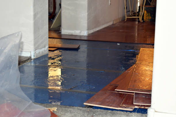 Professional Burst Pipe Cleanup technician working in Lawrenceville, IL